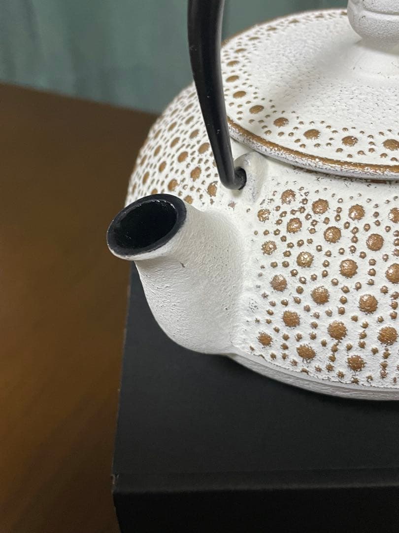 ENCHAN-THE アンシャンテジャポン　南部鉄器ティーポット　NO.5