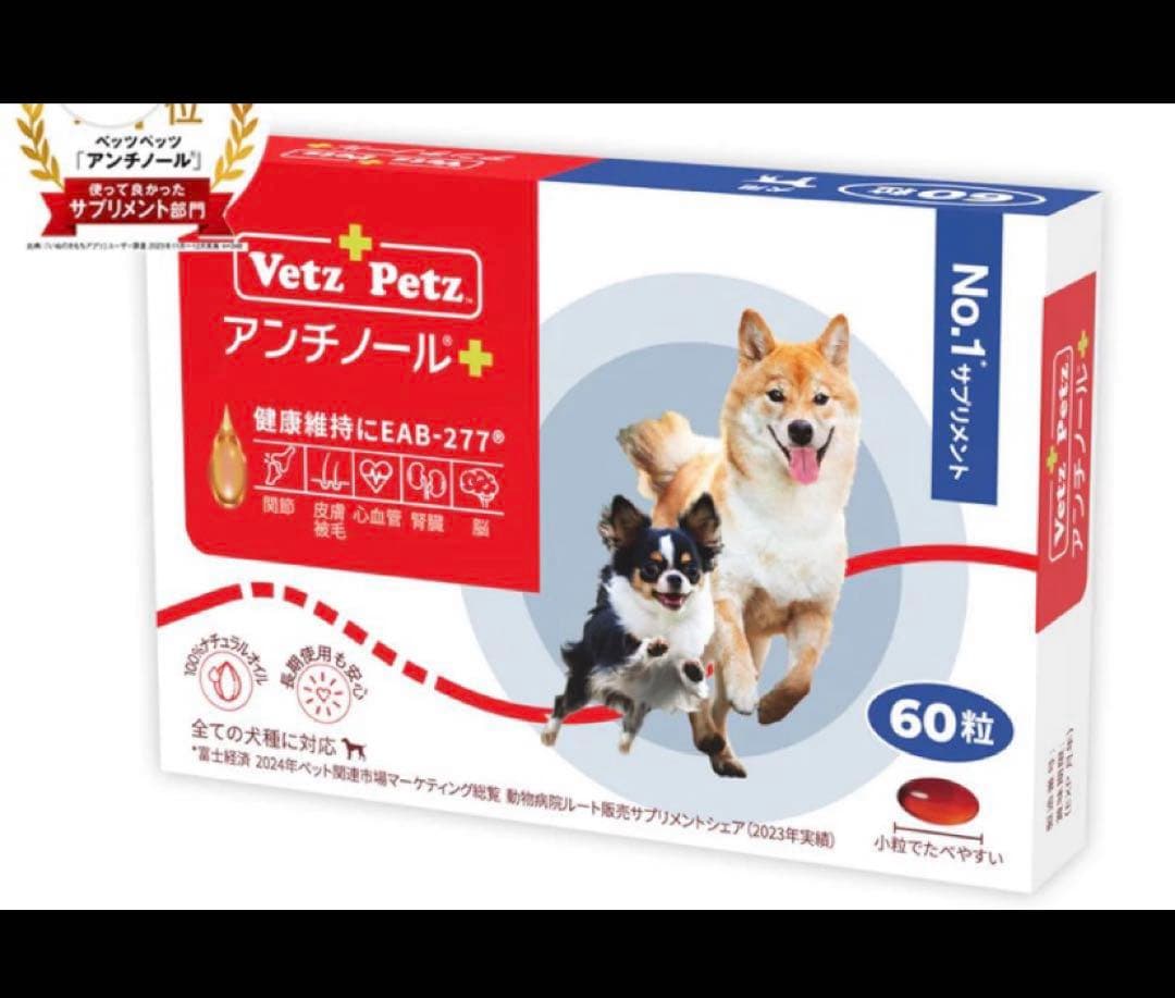 アンチノールプラス60