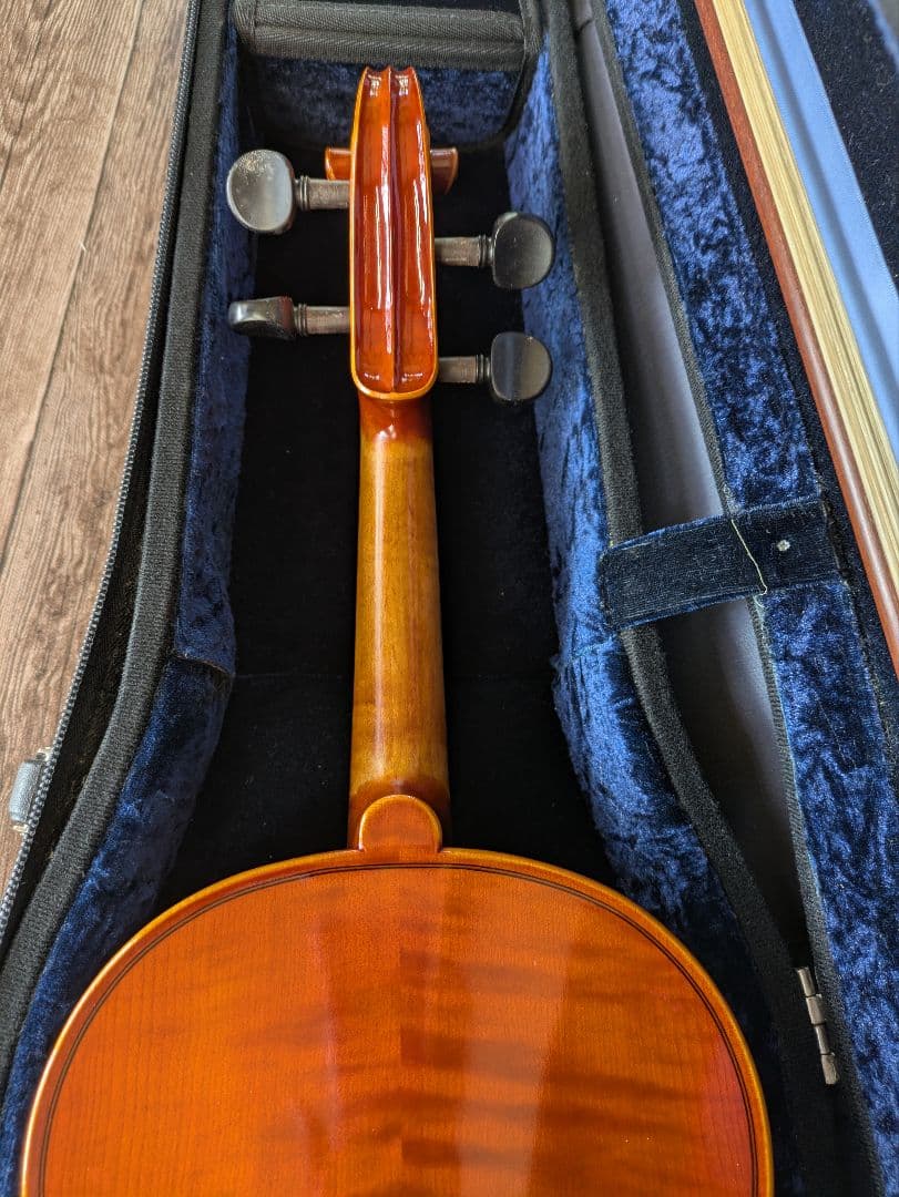 あゆみPygmalius Derius Giapponese 4/4