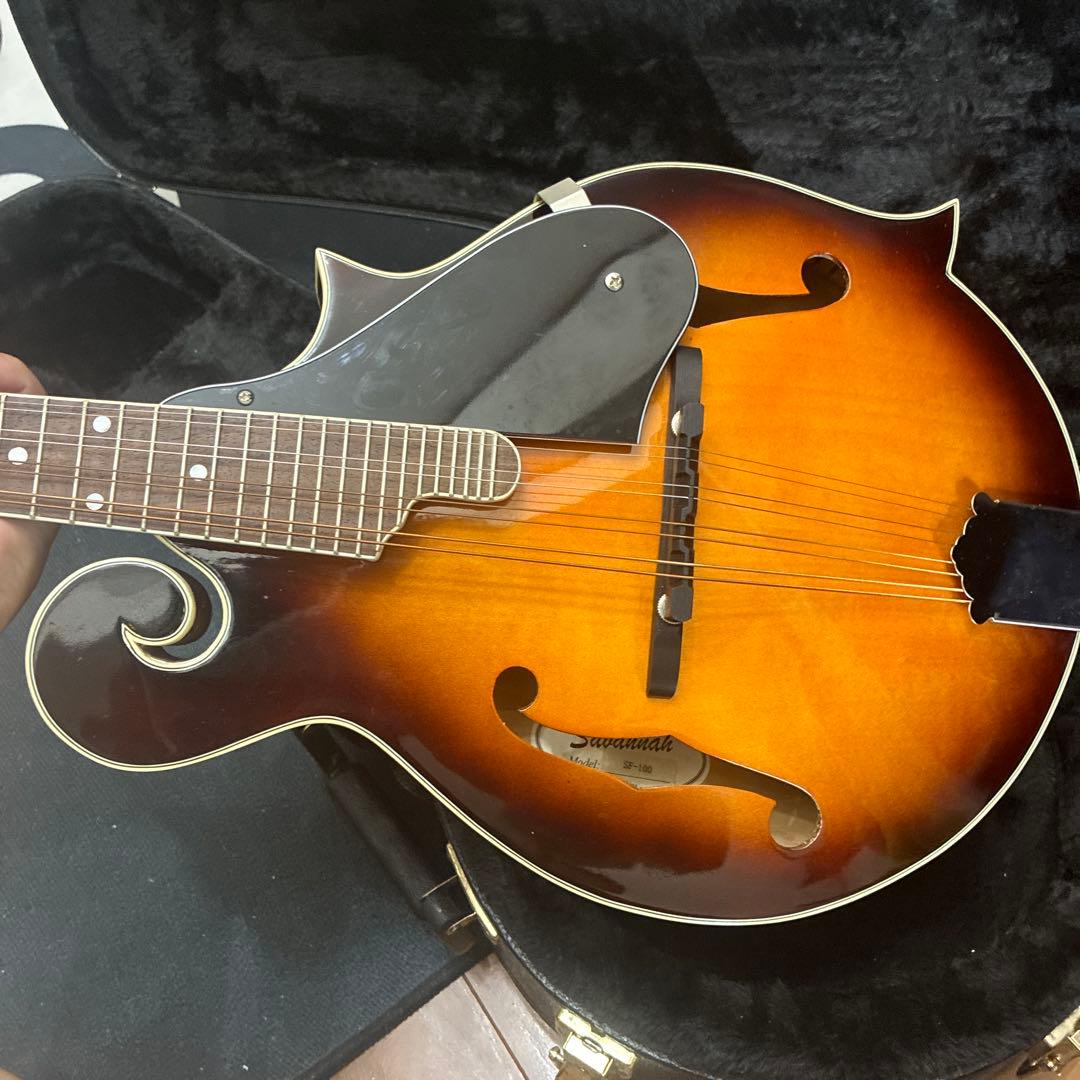Savannah フラットマンドリン　ハードケース付き