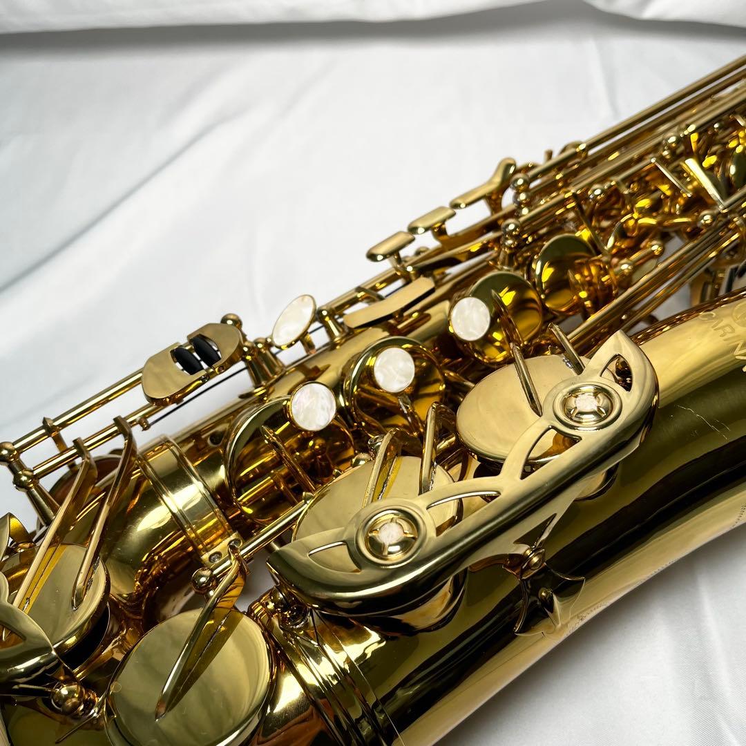 CARINA アルトサックス ケース付