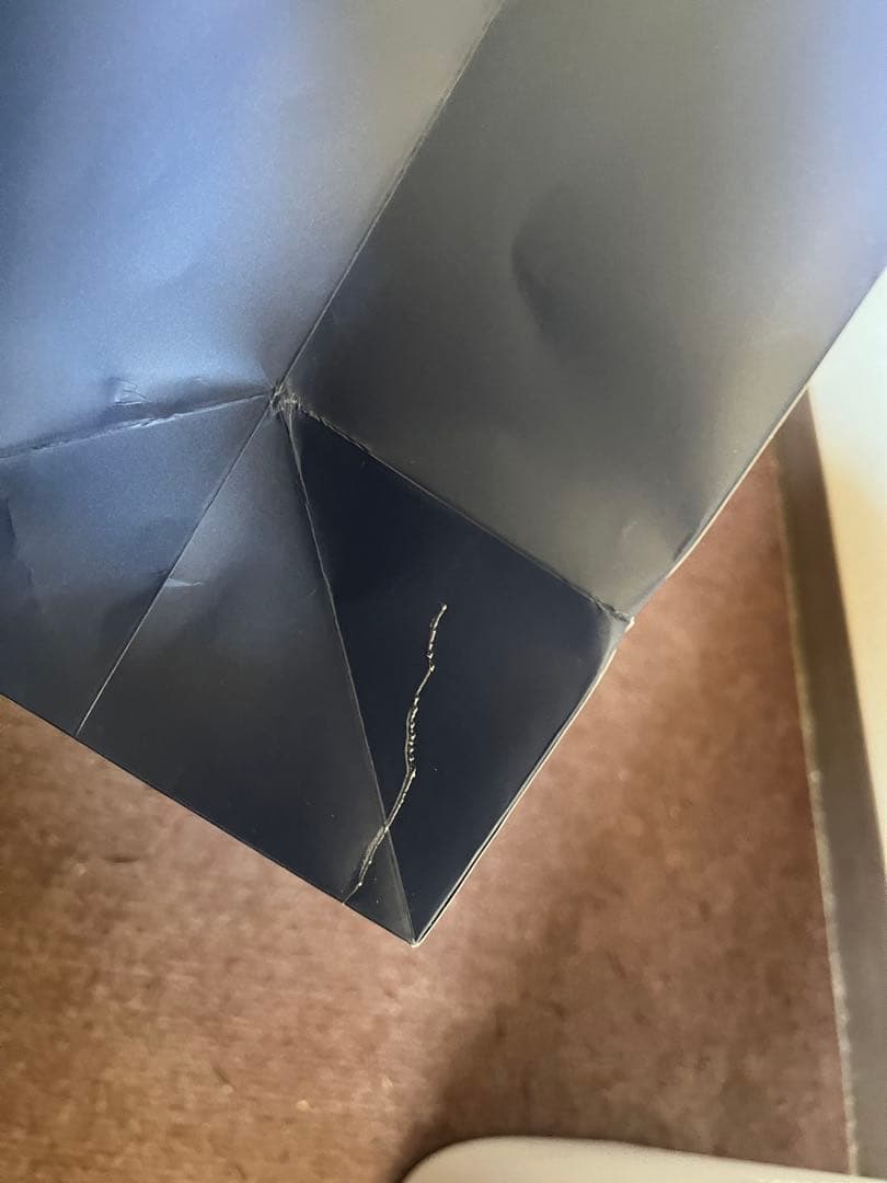 Nissy 東京ドーム　VIPシート特典グッズ　銀テープ他