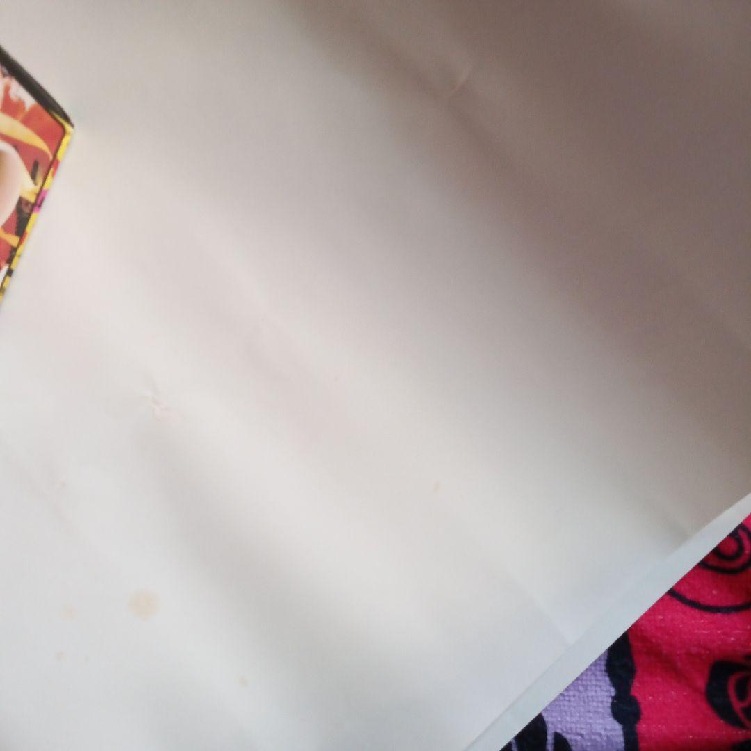 ✮本日限定✮hide 等身大ポスター