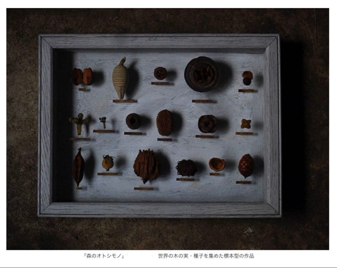 西別府久幸 「森のオトシモノ」
