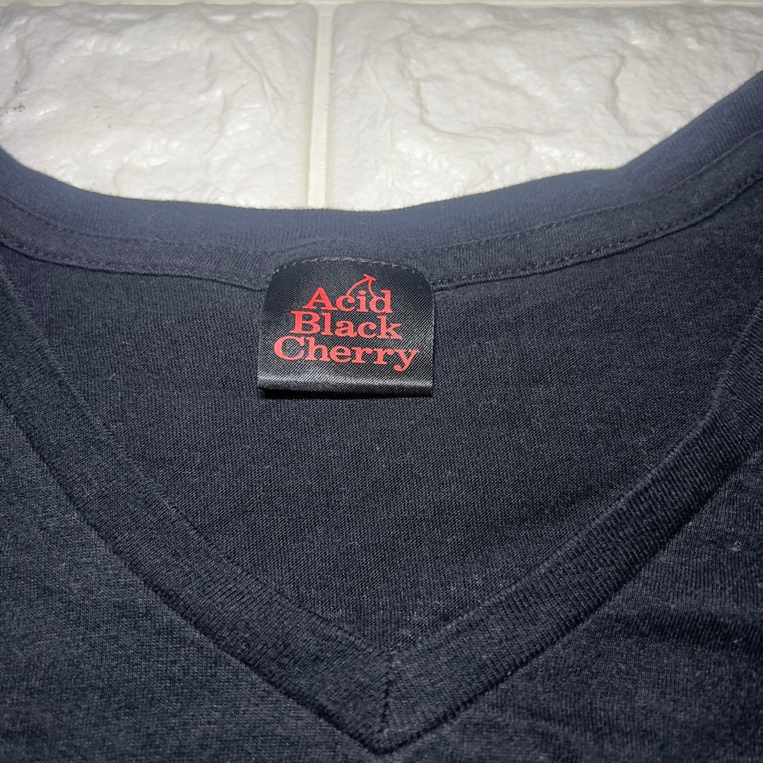 Acid Black Cherry フリーライブ2011 Tシャツ