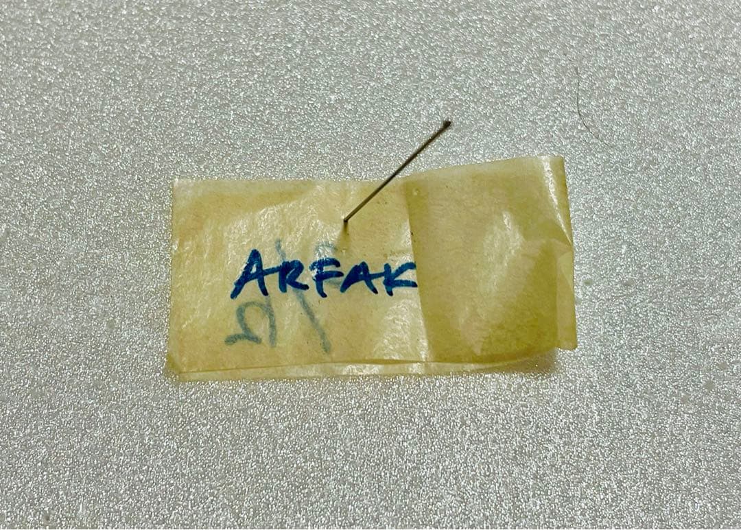 チトヌストリバネアゲハ（1メス・Arfak Mt INDONESIA産）