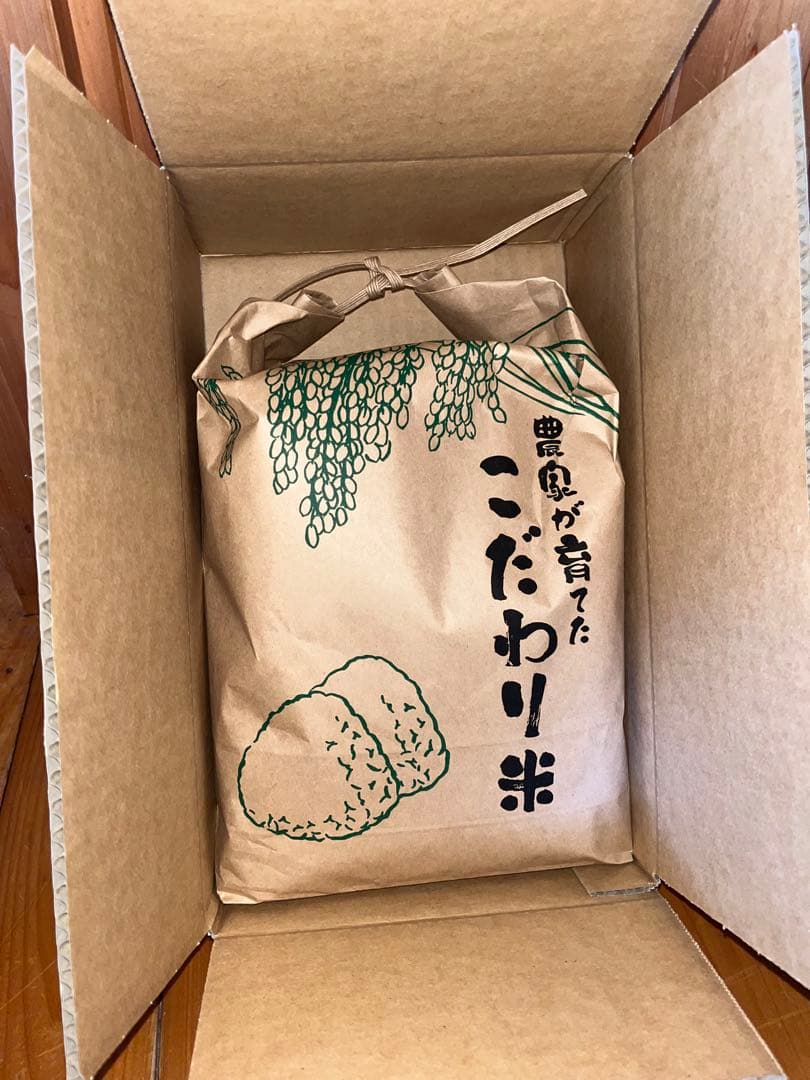 【令和7年産】栃木県日光市産 コシヒカリ 10kg（白米）産地直送 注文後精米！