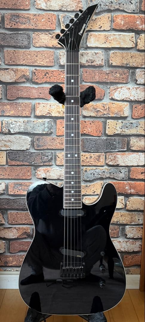 期間限定価格1/27 本日まで❗️FERNANDES TEJ DELUXE 2S