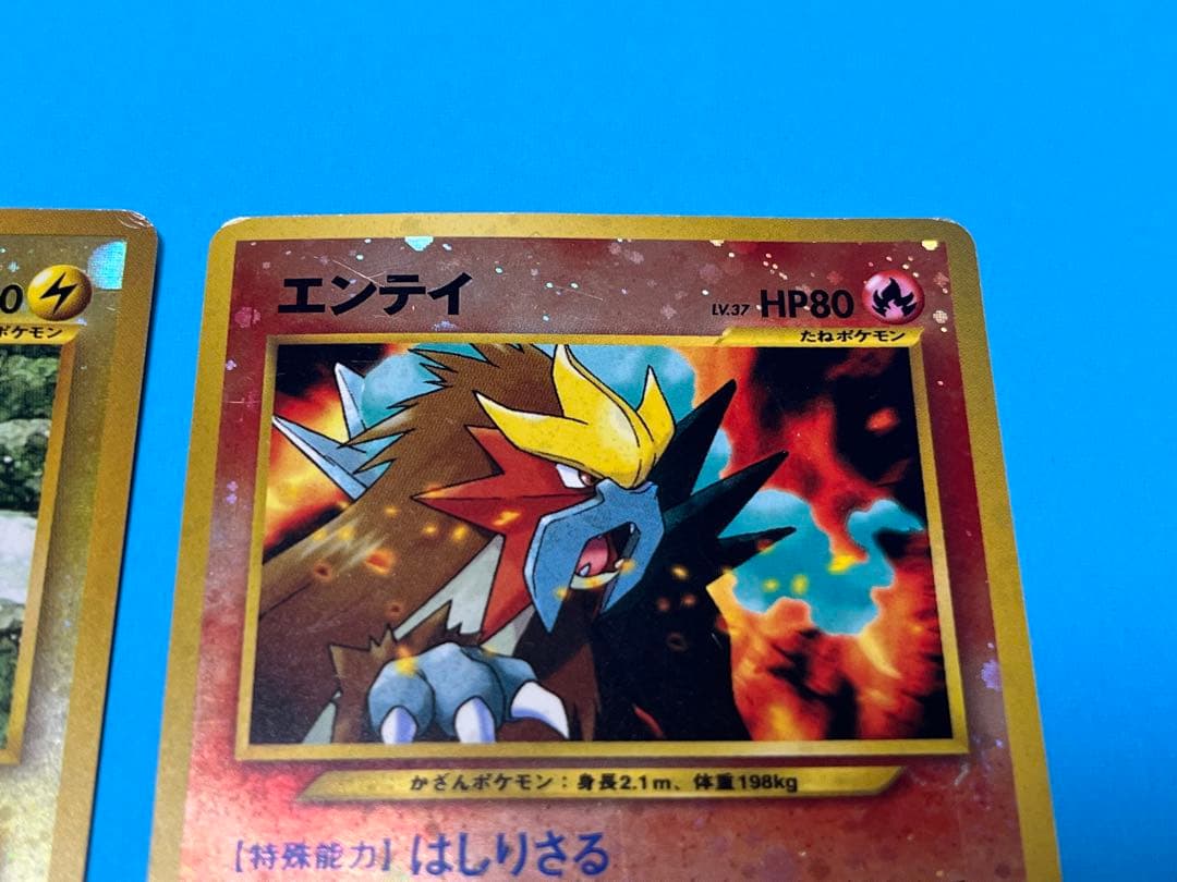 ポケモンカード旧裏　プレミアムファイル　エンティ ピチュー