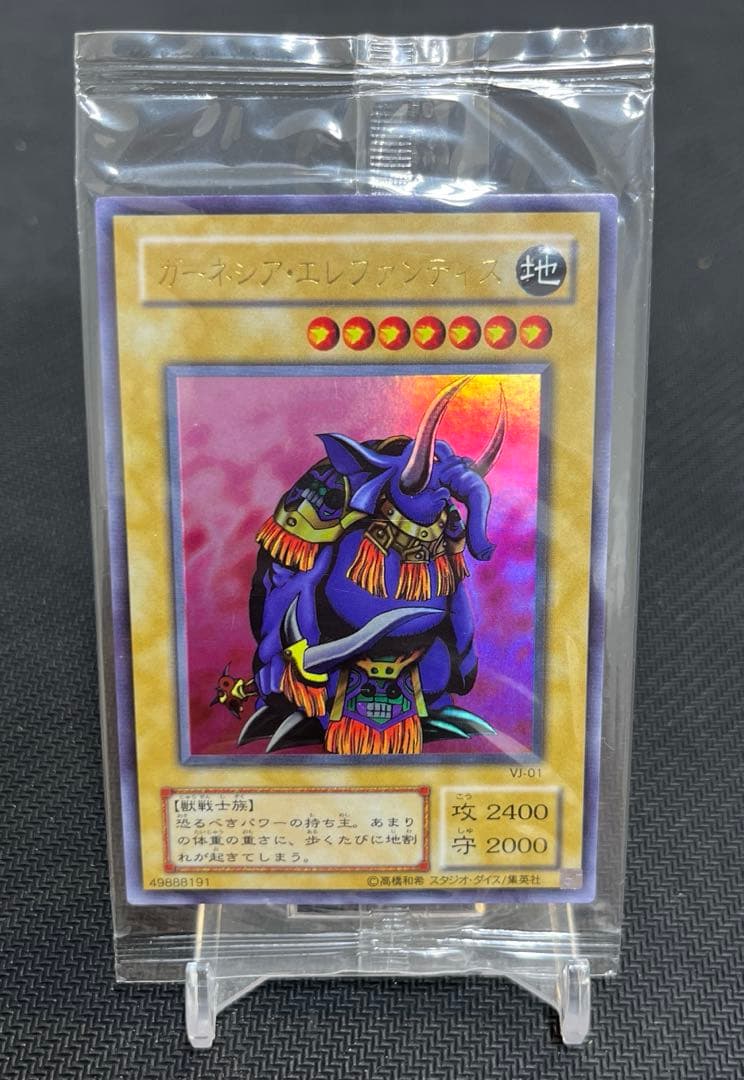 秘蔵レア　ガーネシア・エレファンティス