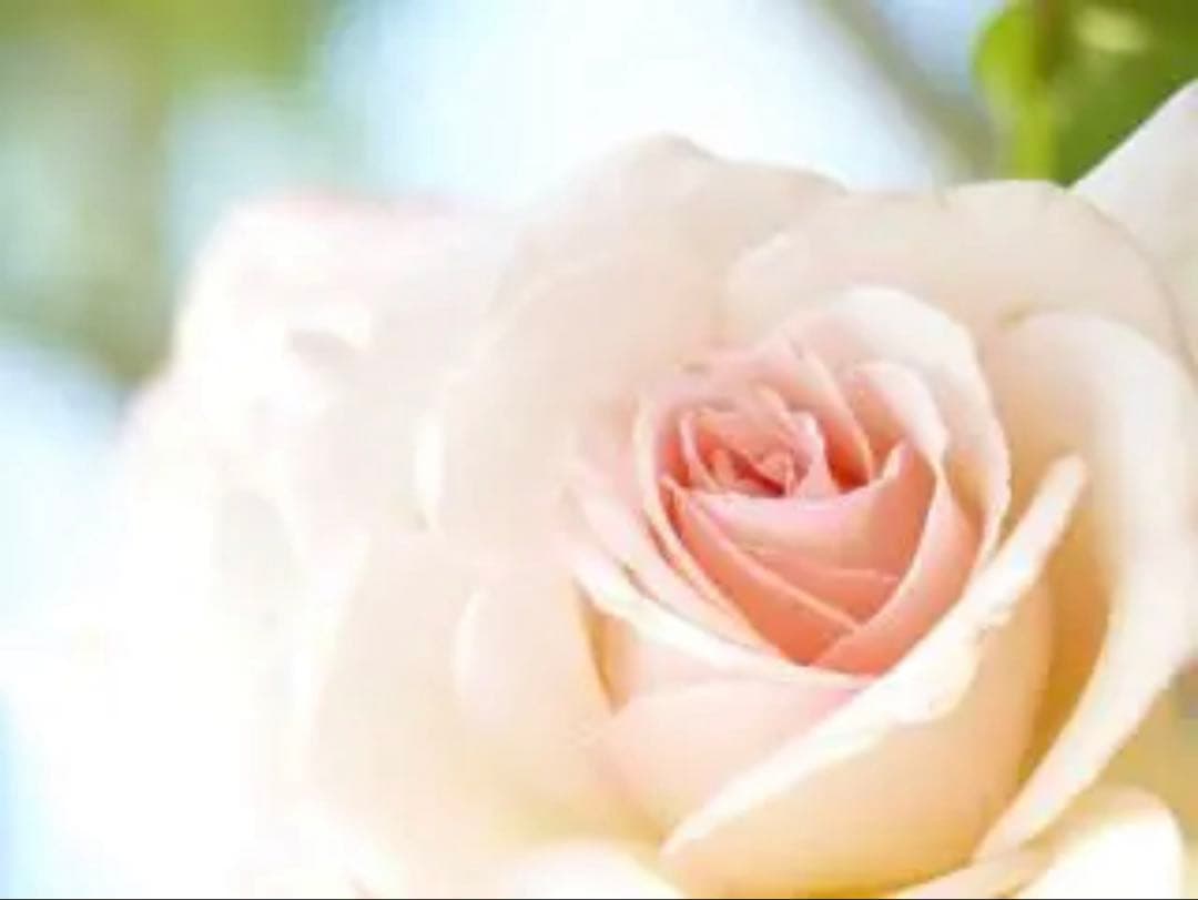 MH USK【岩塚製菓/工場直販店限定】 おまとめページ