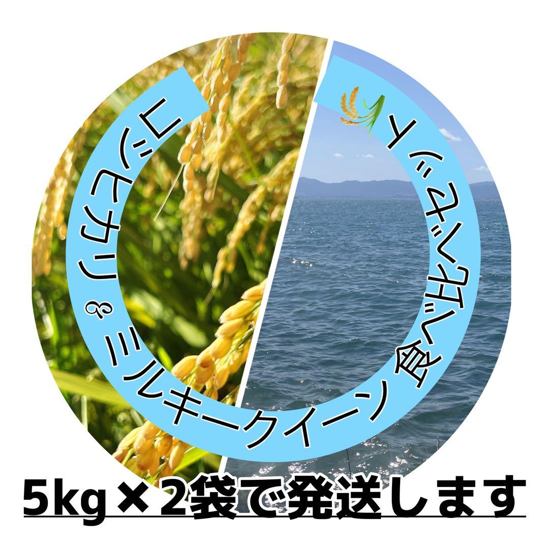 【令和7年度新米】近江米 ミルキークイーン5kg +コシヒカリ5kg
