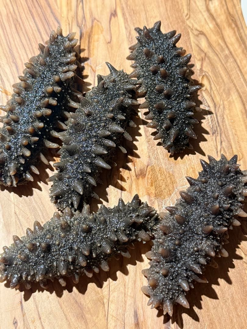 【北海道産】 乾燥なまこ 天然 厳選A級品200g S(5g以下