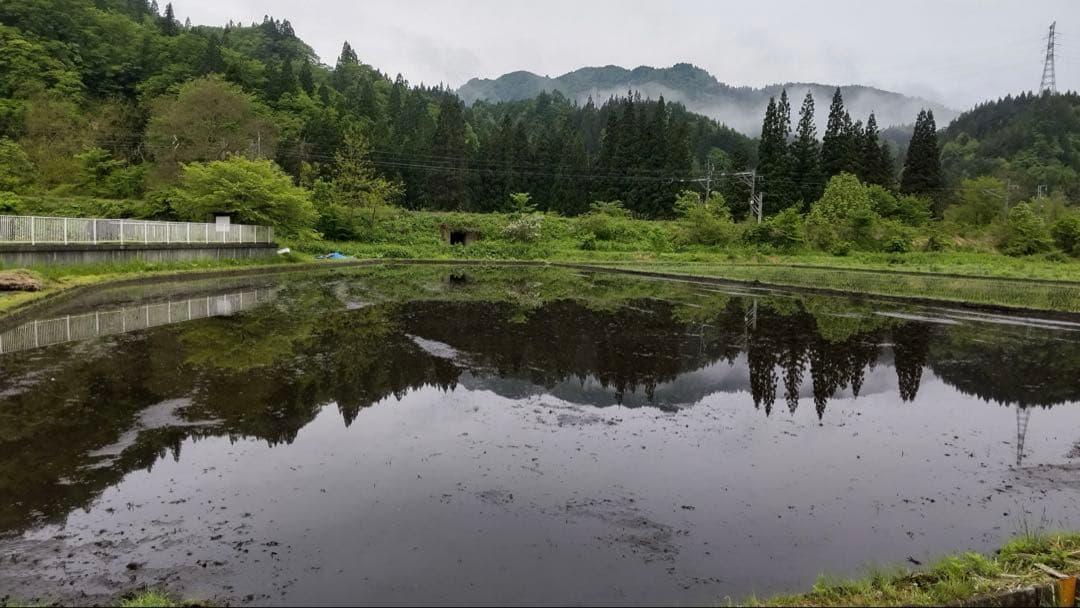 青森県産　はれわたり10㎏　【天日干し米】