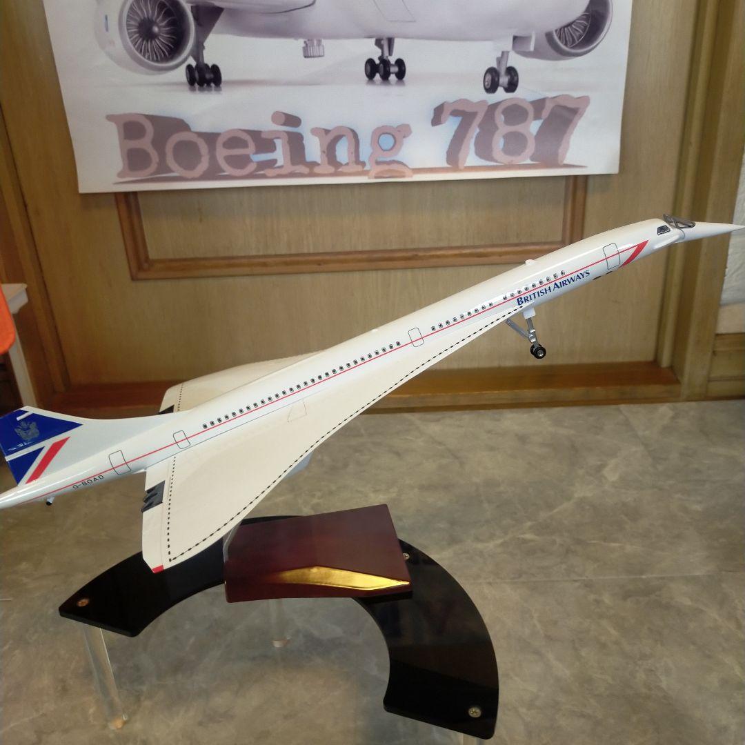 3/15着new! シンガポール52cmCONCORD1/125Big!