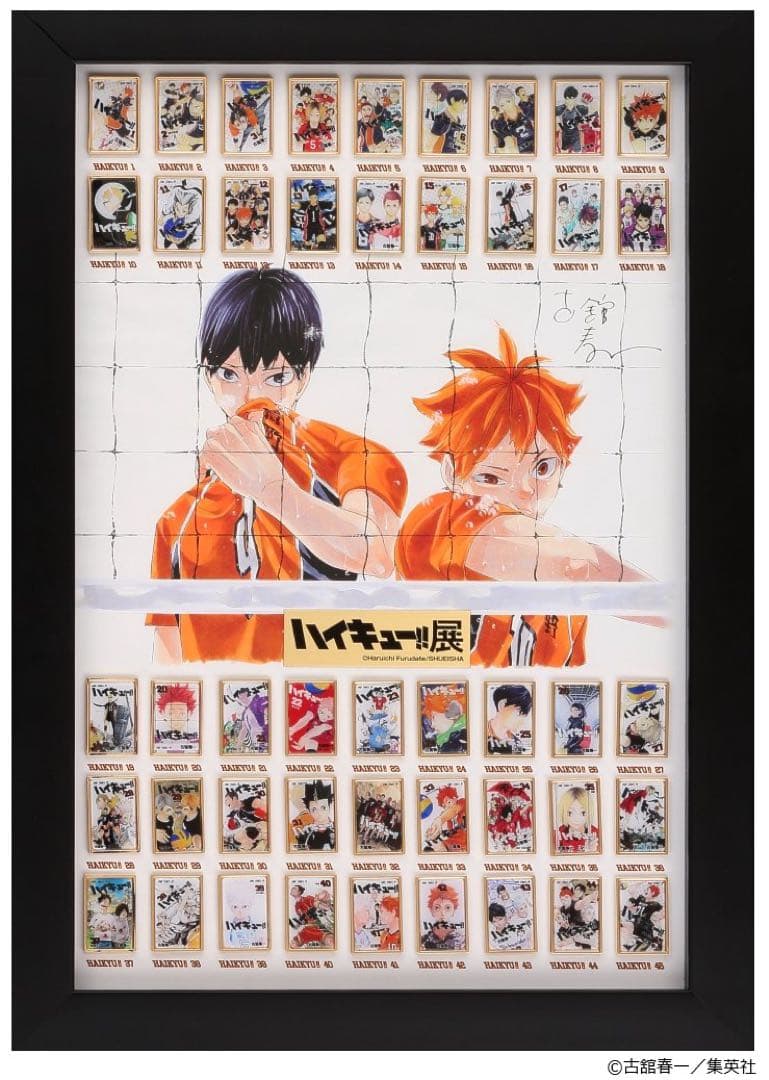 ハイキュー！！　全巻ピンズコレクション　ハイキュー展