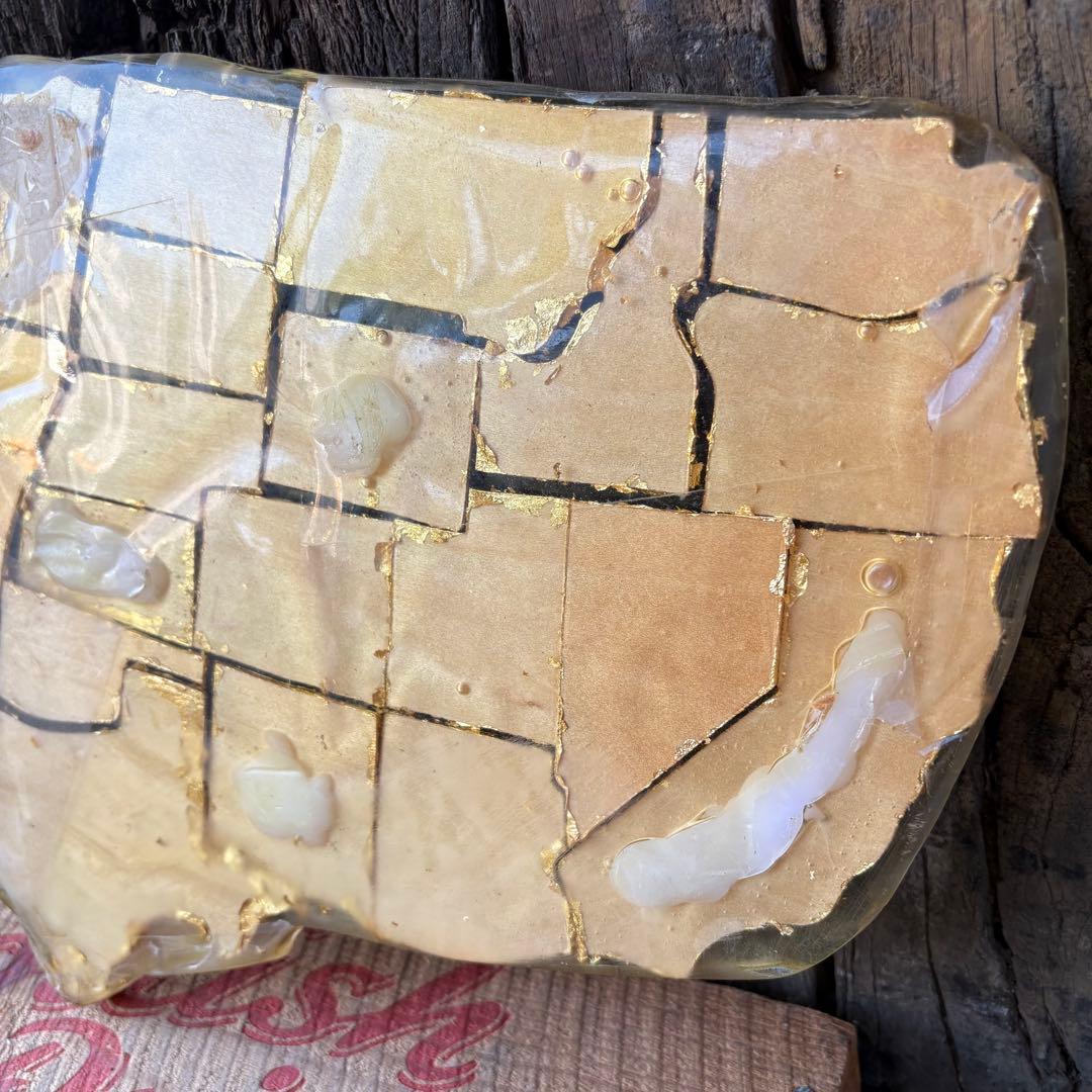 【1950s60s USA vintage】アメリカ 地図 州 アート オブジェ