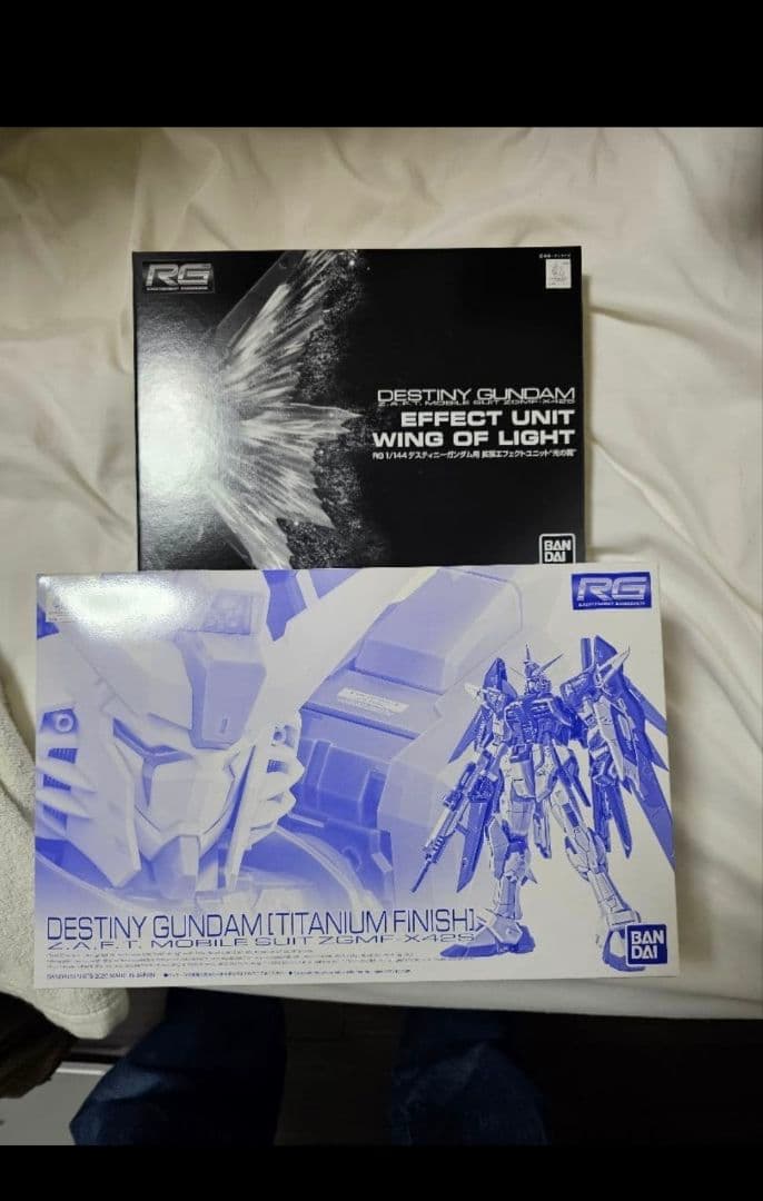 ＲＧ 1/144 デスティニーガンダム［チタニウムフィニッシュ］＋光の翼