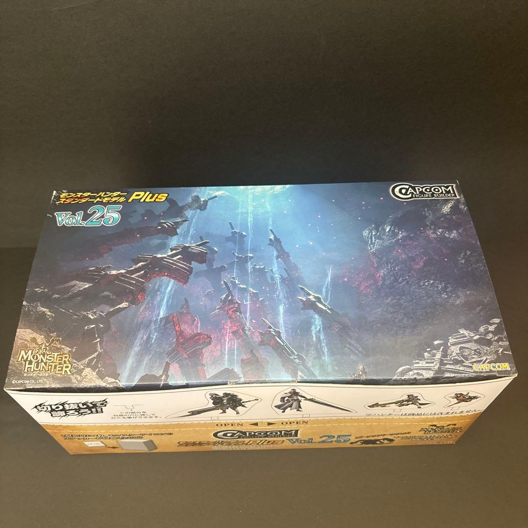 スタンダードモデル　plus vol.25