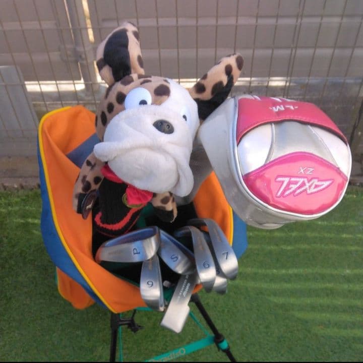 レディース ゴルフクラブセット ミズノ他