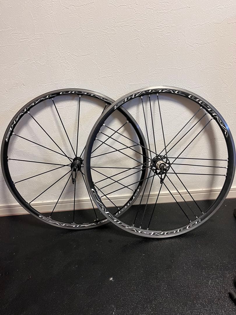 ワカちゃん　Campagnplo シャマルウルトラ