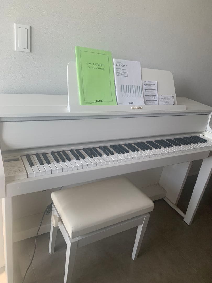 送料込CASIO GP-310WE 2022年製