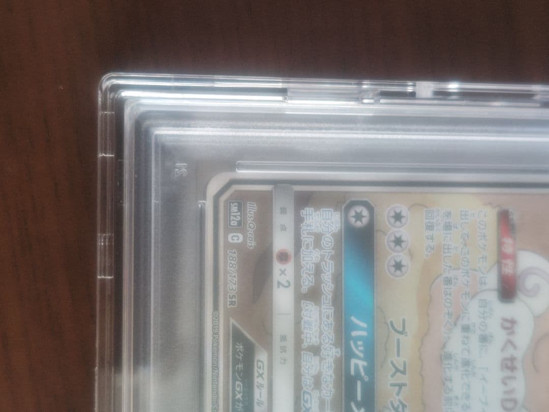 イーブイGX SA PSA10