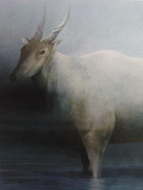 堀晃、【たたずむ刻】、希少な画集画、新品高級額・額装付、状態良好