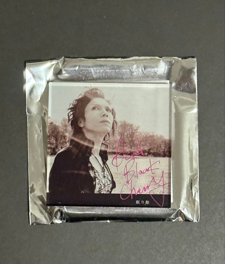 Acid Black Cherry アクリルマグネット 眠り姫 シークレット