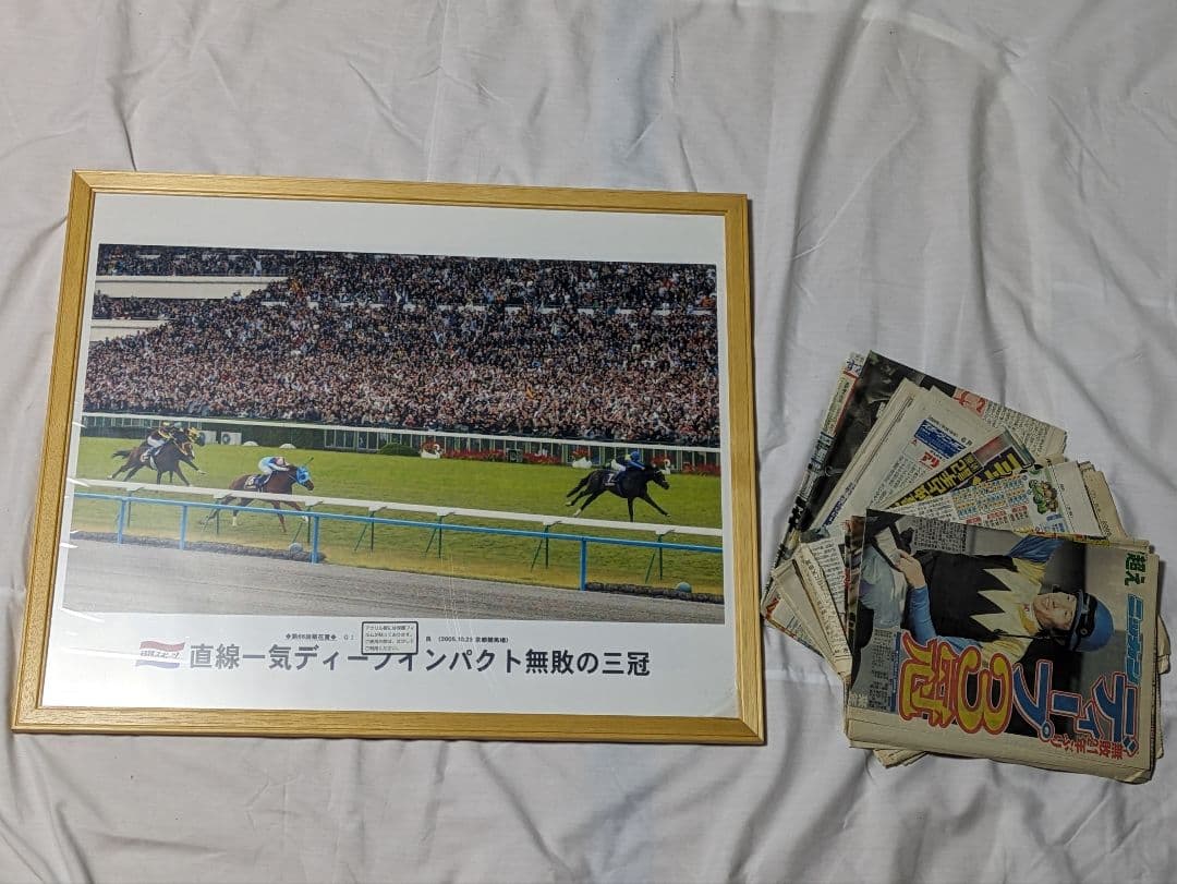ディープインパクト　武豊　菊花賞　競走馬　写真パネル　額縁入り　スポーツ新聞付き