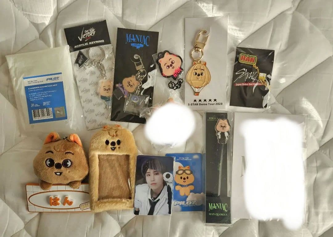 StrayKids HAN グッズセット
