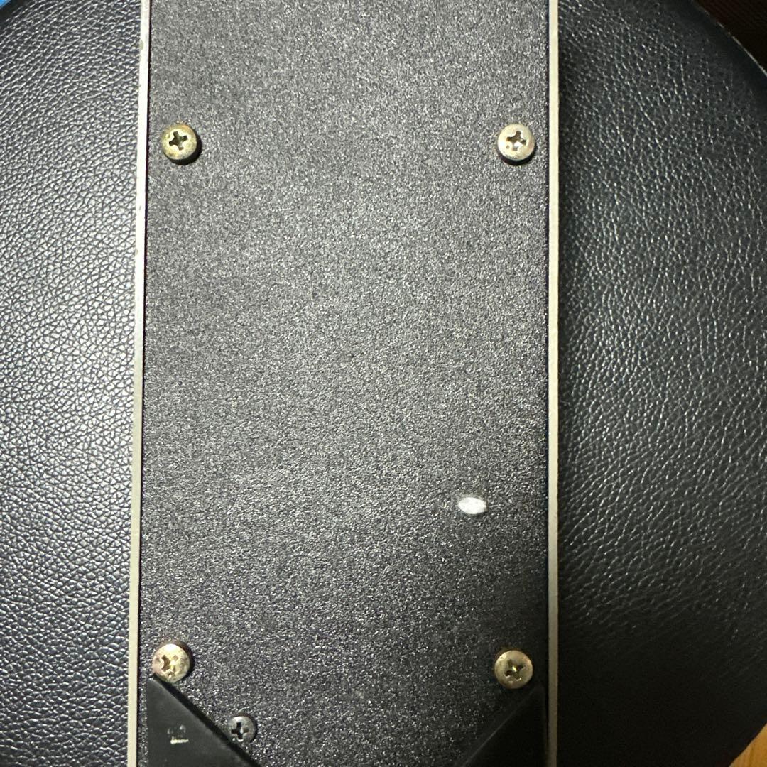 Ibanez WH10 初期型