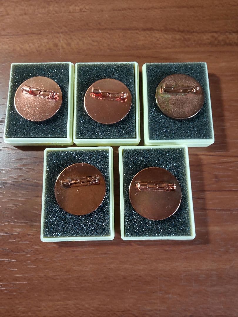 第2回ポケモンリーグ公式大会 勝利のジムバッチ【非売品】