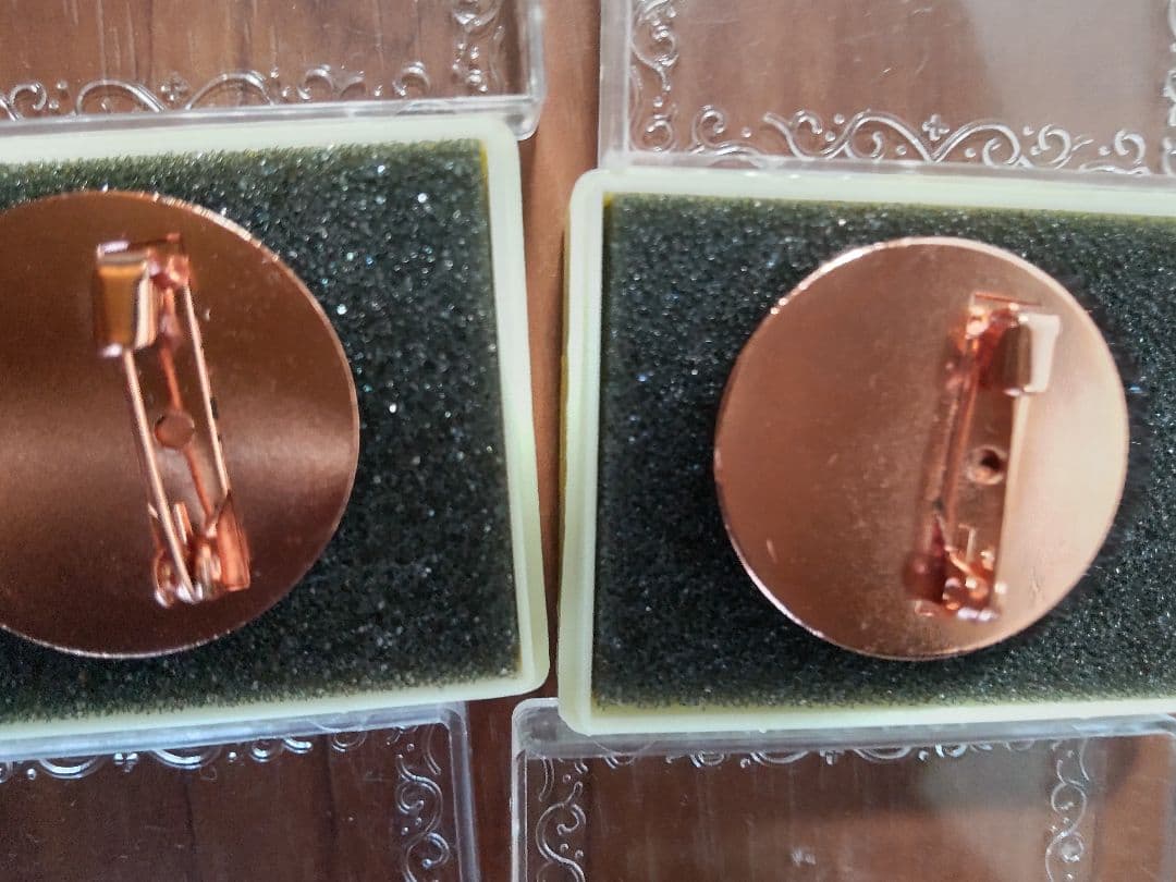 第2回ポケモンリーグ公式大会 勝利のジムバッチ【非売品】