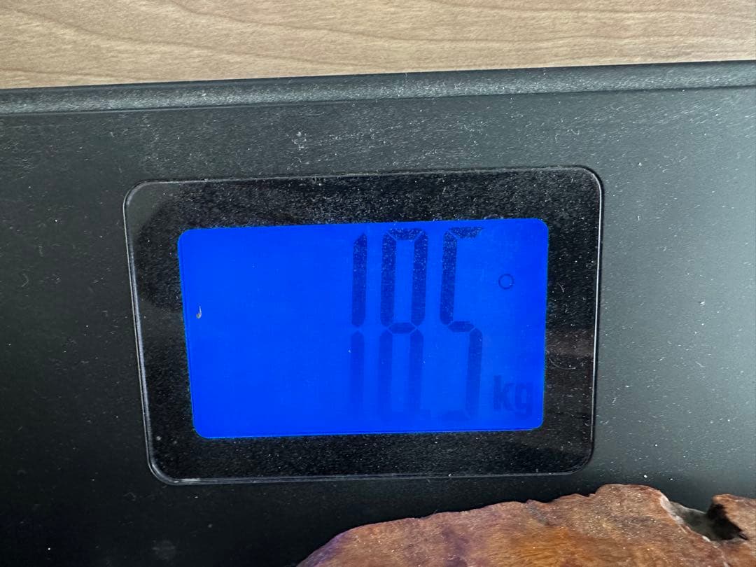 アンティークの飾り木 73cm x 53cm x 9cm