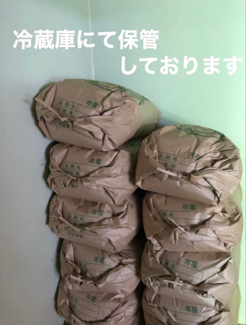 令和7年度産ミルキークイーン10キロ