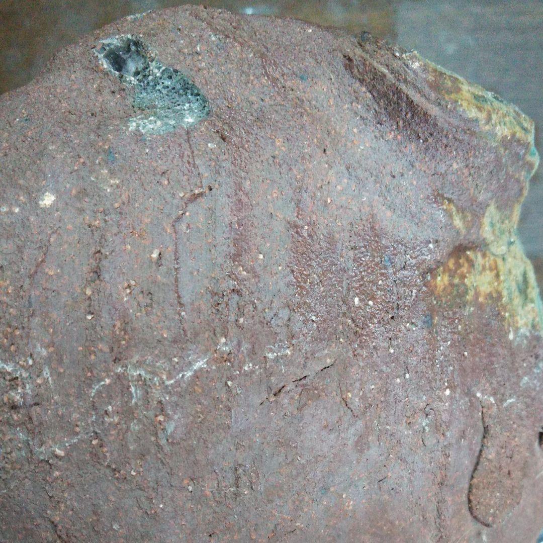 鉢　焼物　睡蓮鉢　金魚鉢