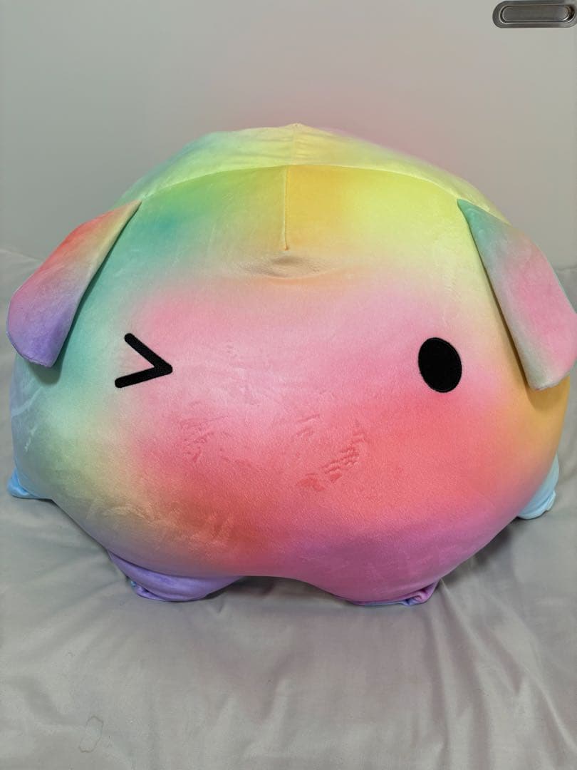 八景島シーパラダイス　メンダコ　1等