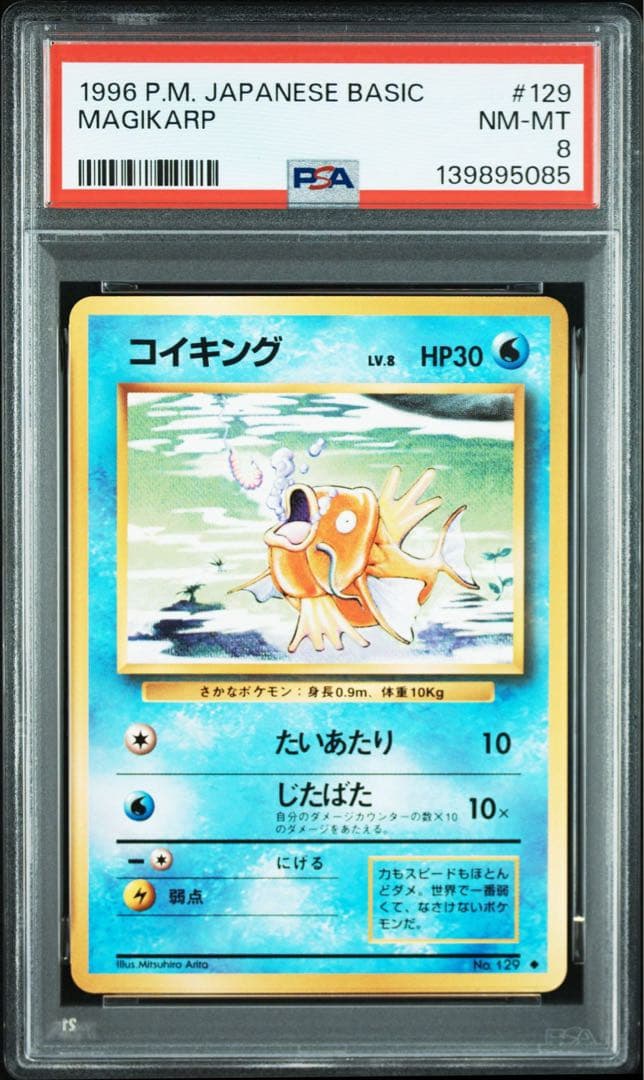 psa8 コイキング　旧裏