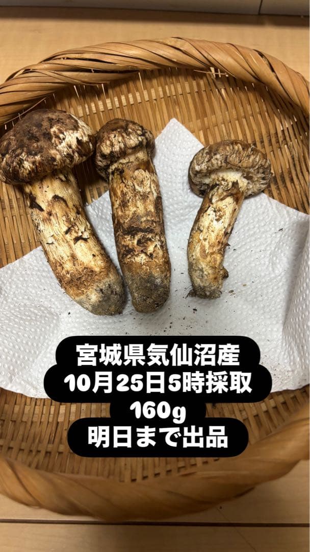 宮城県気仙沼産極上松茸