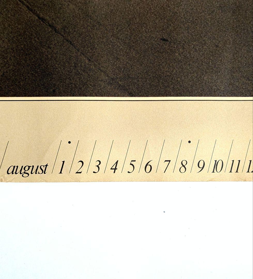 ヴァン ヂャケット 1976年 ノベルティ シーン ポスター 操上和美 撮影作品