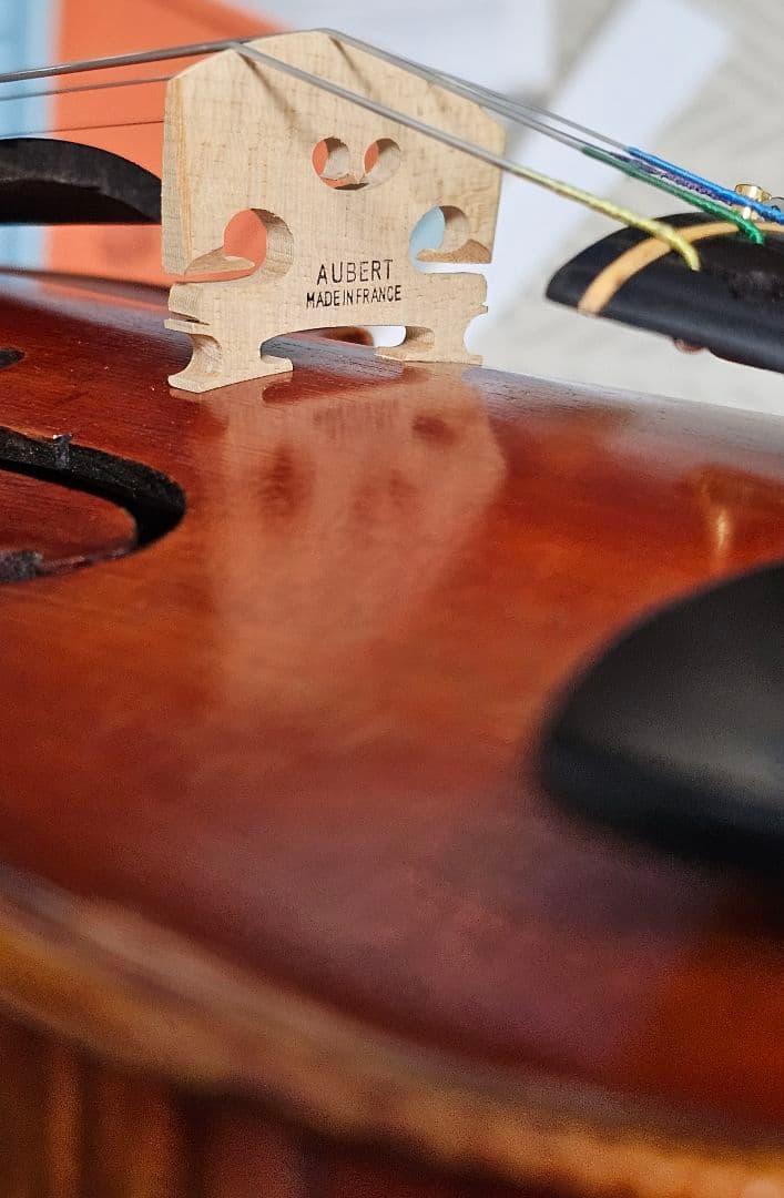 バイオリン　violin