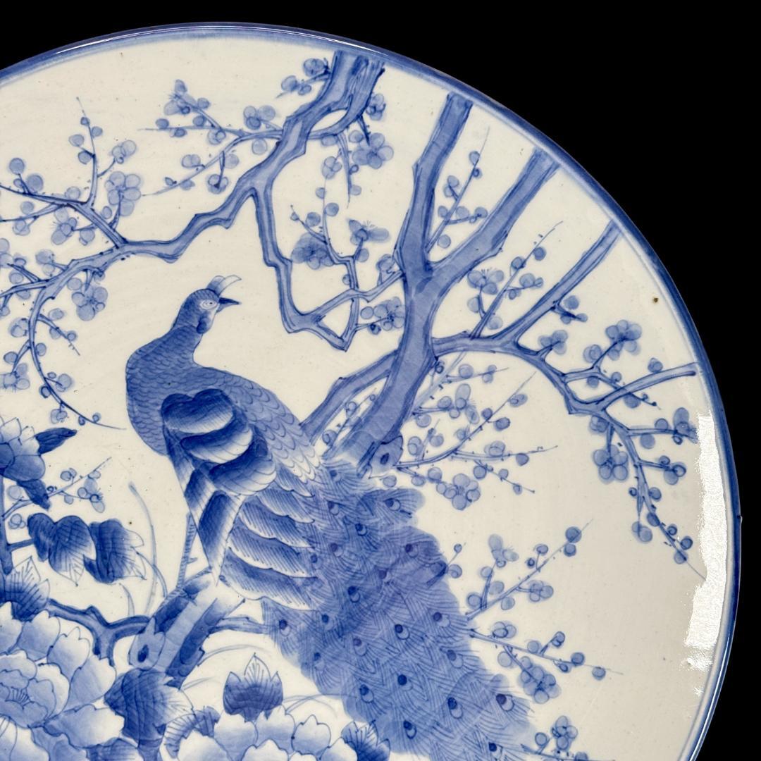 時代物　古伊万里　染付孔雀牡丹文大皿　直径46㎝