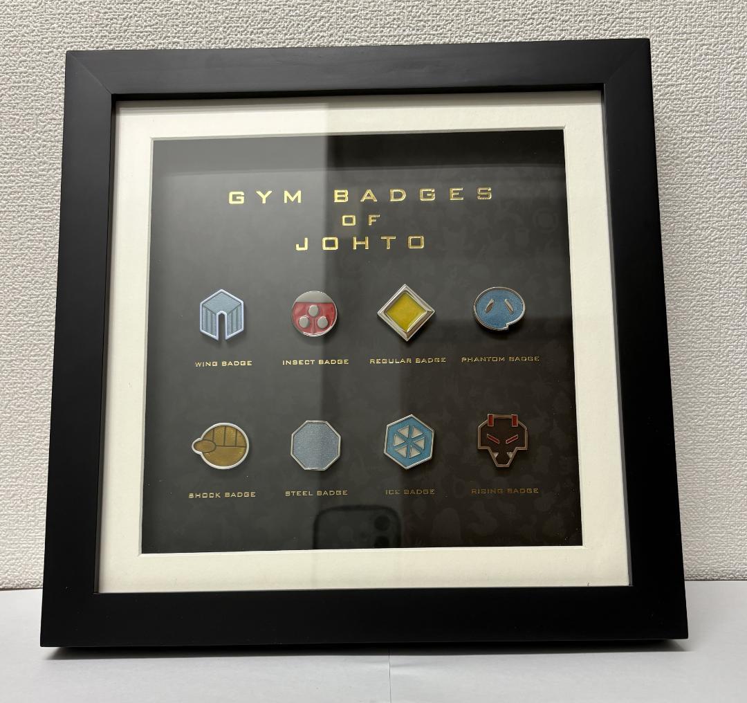 【ジョウト】 ポケモンセンター ジムバッジコレクションコンプリートセット №6
