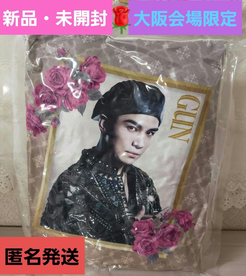 ✨️激レア✨大阪限定✨☺️新品・未開封☺️KINGDOM★岩田剛典★クッション★