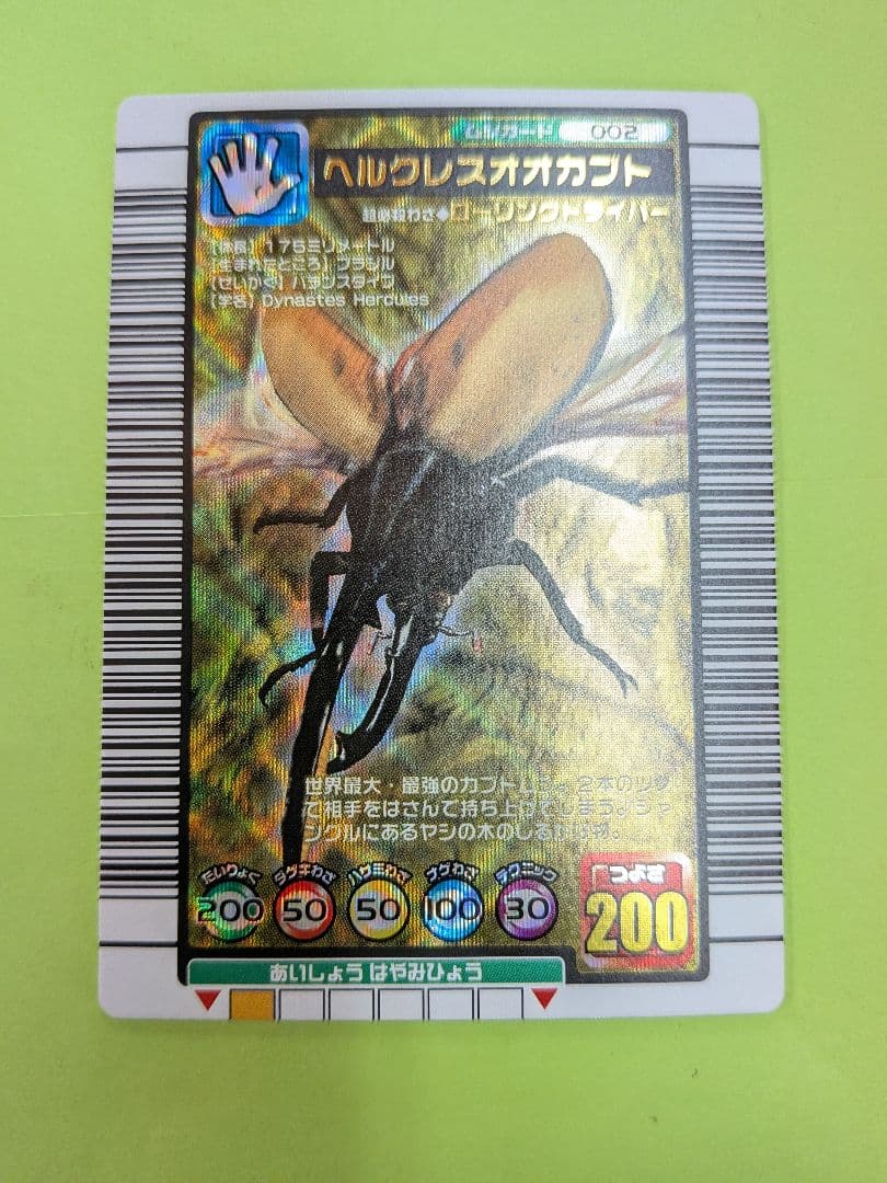 むるてぃしゅ様確認用