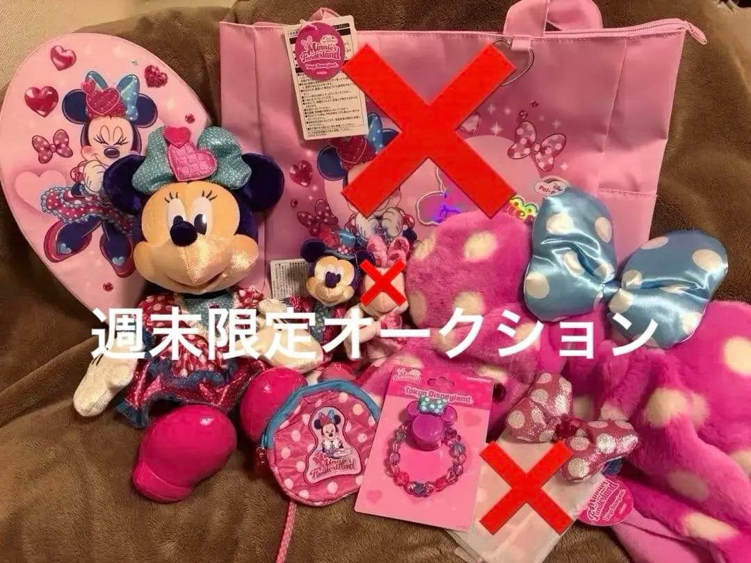 ディズニー ミニー ファンダーランド パルパルーザ2026 豪華セット