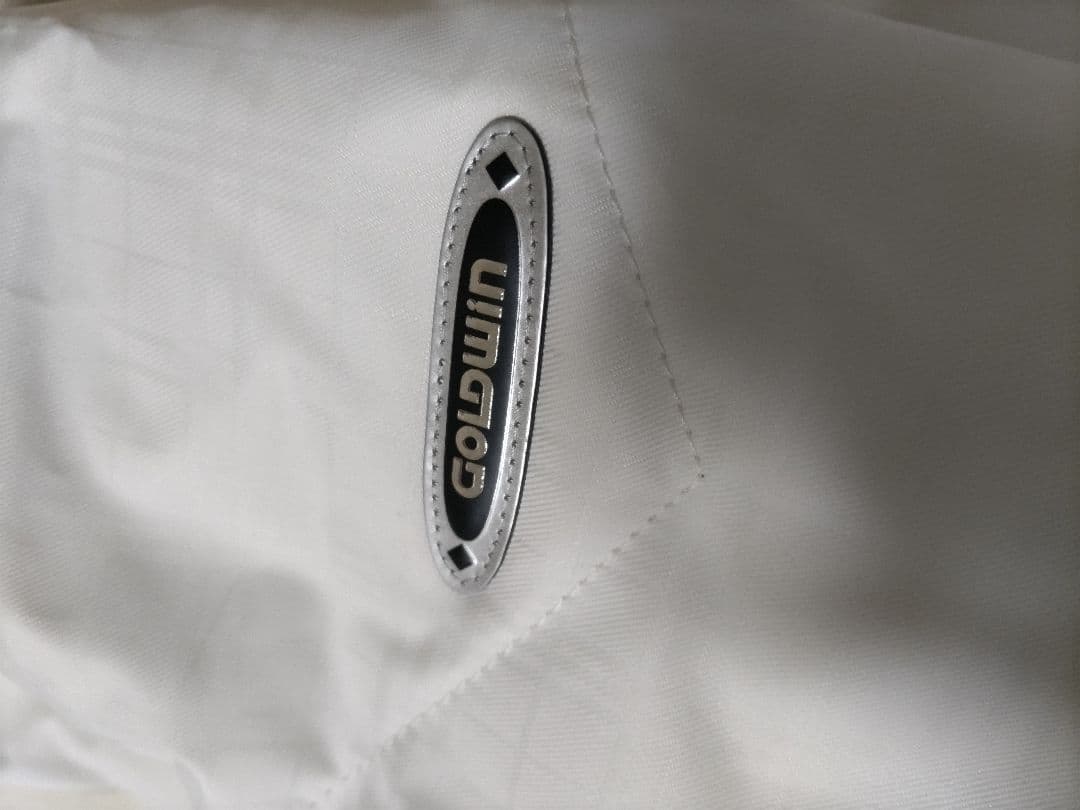 GOLDWIN スキーウェア　スノーボードウェア 女性用 Mサイズゴールドウィン