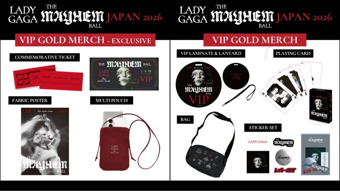 LADY GAGA VIP GOLD グッズ フルセット ゴールド　レディーガガ