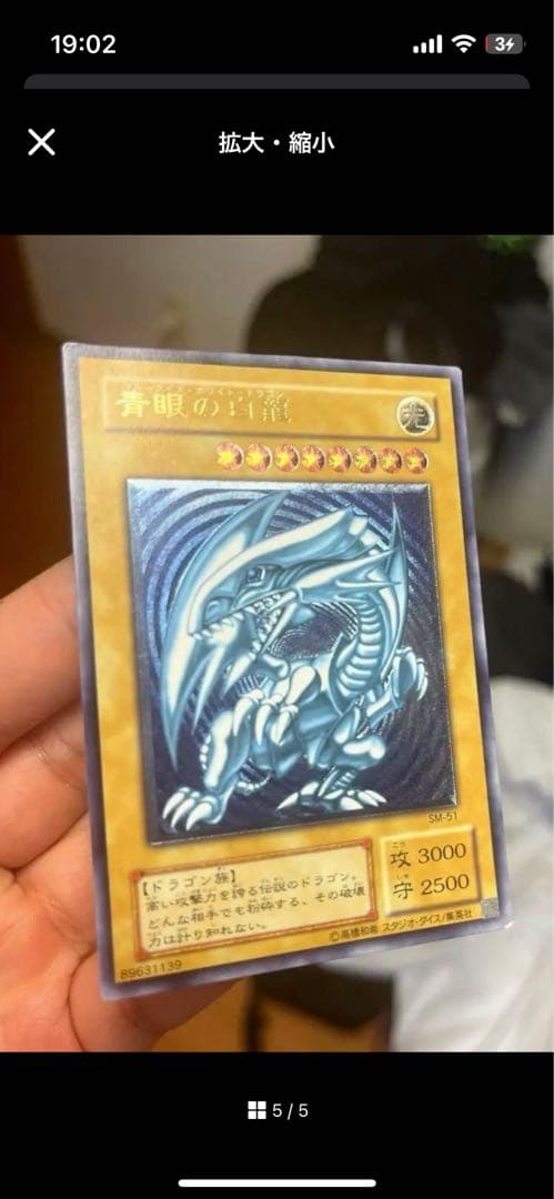 青眼の白龍 レリーフ　シーゴラス